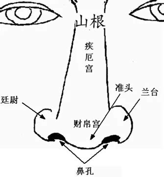 沒有鼻梁 面相|劉恒面相解讀：鼻梁偏斜明顯，心思不正之人